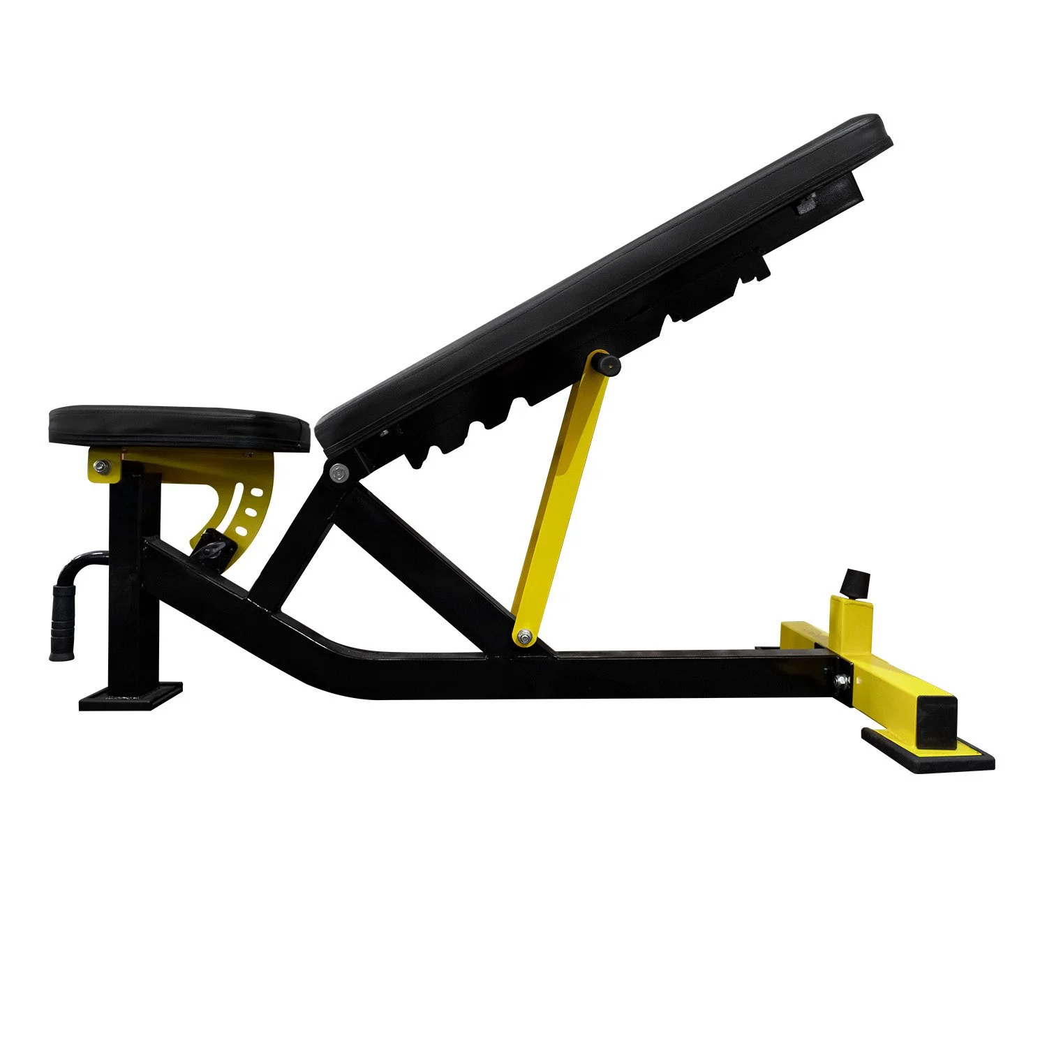Banco plegable Everlast Pro detalle respaldo