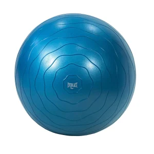 Bola Everlast Entrenamiento 75cm Ejercicio