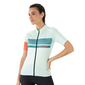 jersey everlast deportivo cys ps, jersey deportivo para entrenamientos