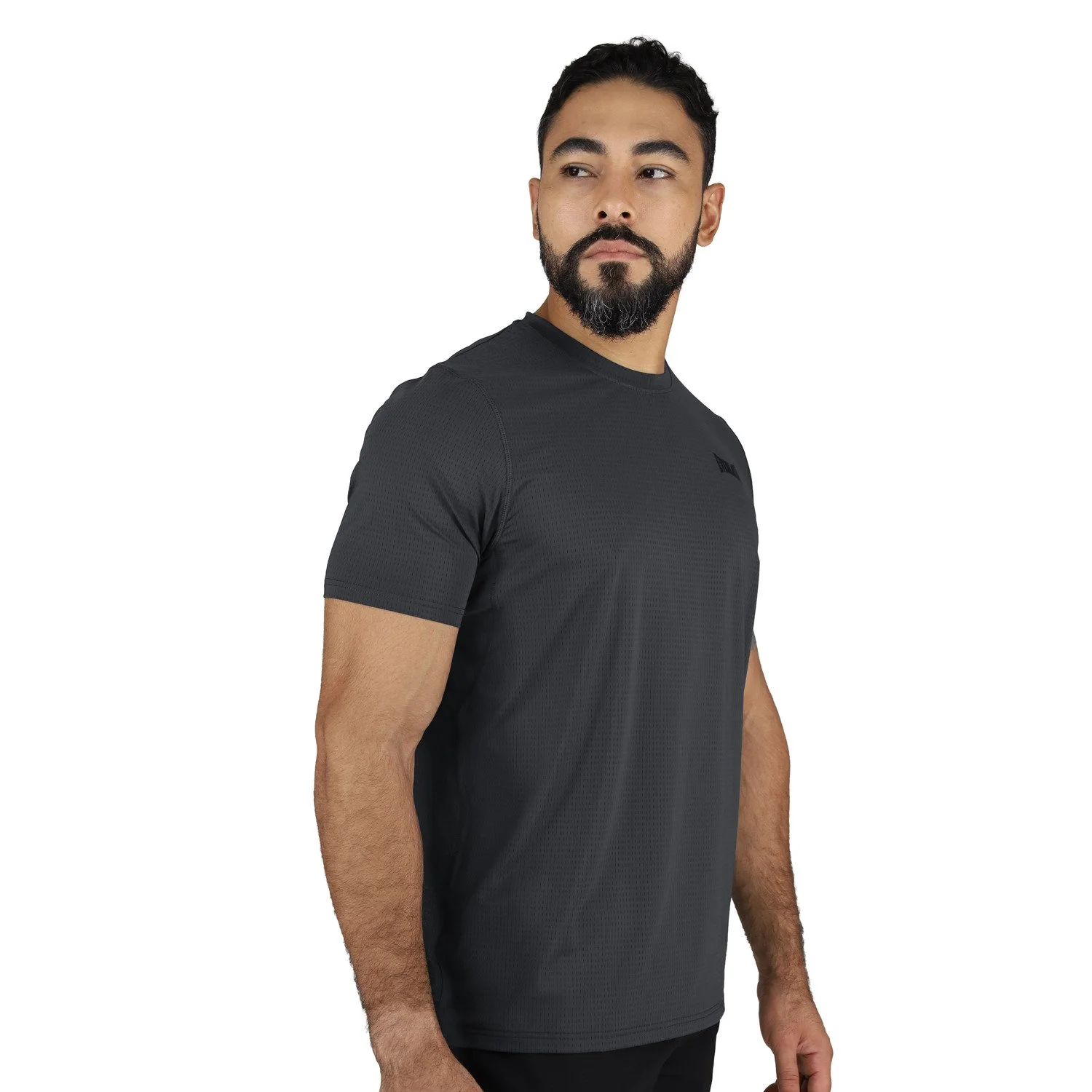vista posterior del t-shirt everlast ronnie