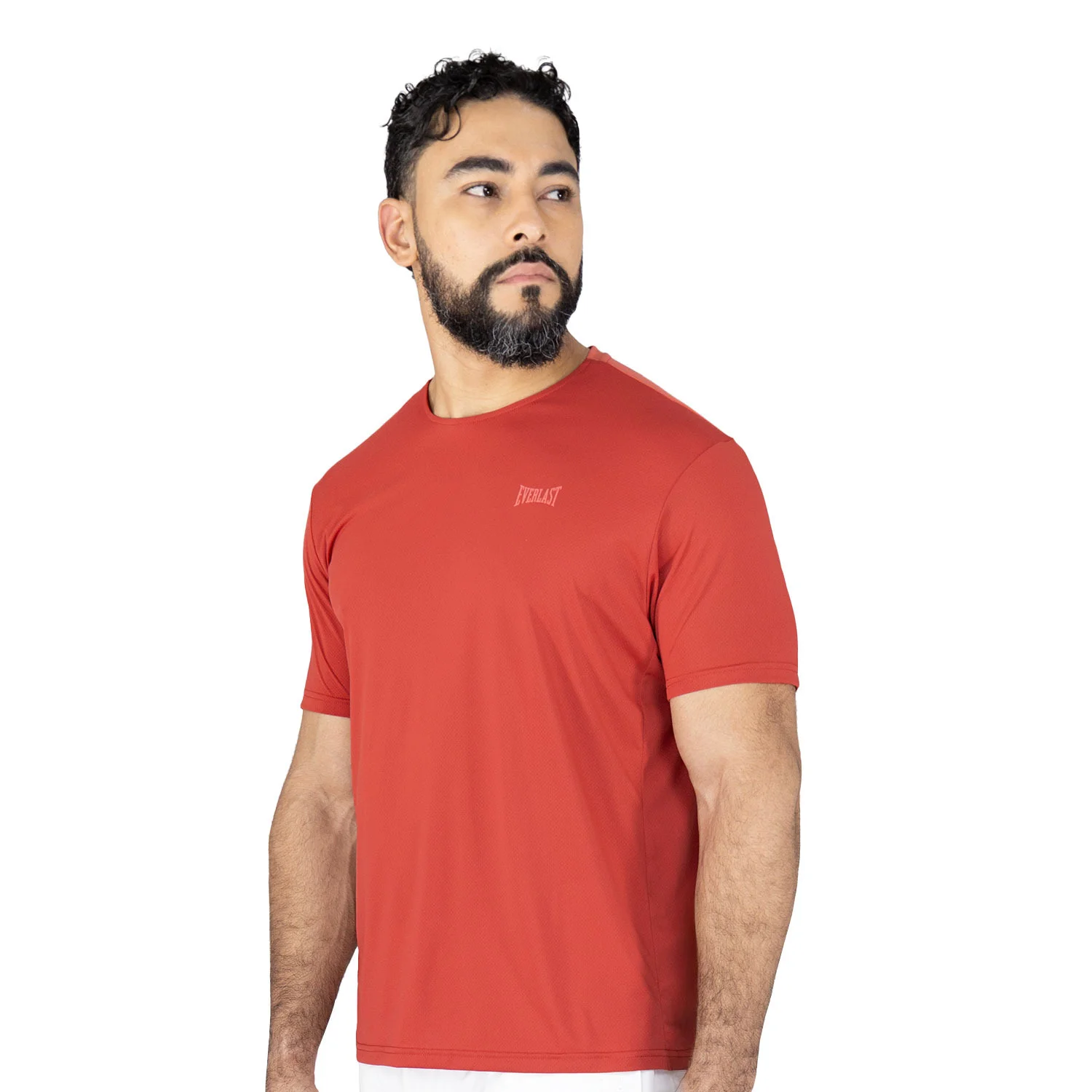 parte trasera de la camiseta, logotipo de Everlast