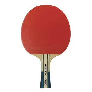 Raqueta Tenis Mesa Butterfly